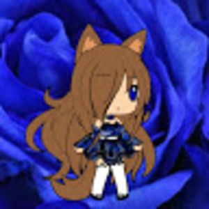 Meet your Posher, Itzkarma_playz